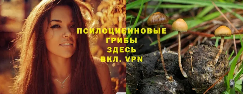 Галлюциногенные грибы Magic Shrooms  Кисловодск 